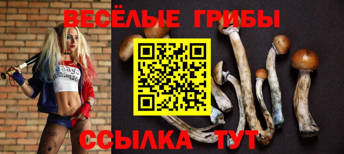 Большой Камень  Галлюциногенные грибы Cubensis  Вход с VPN 